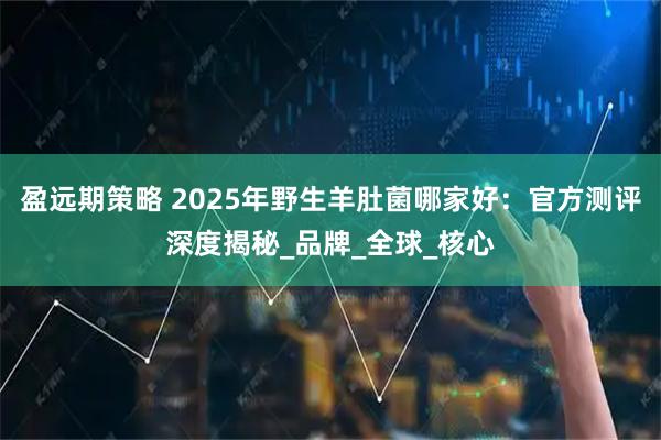 盈远期策略 2025年野生羊肚菌哪家好:官方测评深度揭秘_品牌_全球_核心